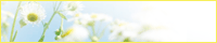http://iris.hanagumori.com/banner.gif